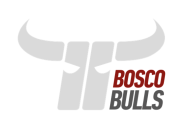 Bulls Kapfenberg